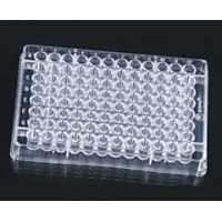 48 Well Cell Culture Plates, Sterile , Non Pyrogenic, TC treatment, 50 Pcs