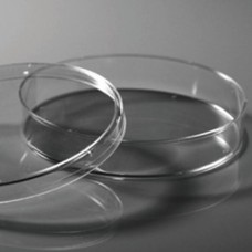 150 x 15 mm Petri Dishes, Sterile , Non -pyrogenic , 100 Pcs/ Case