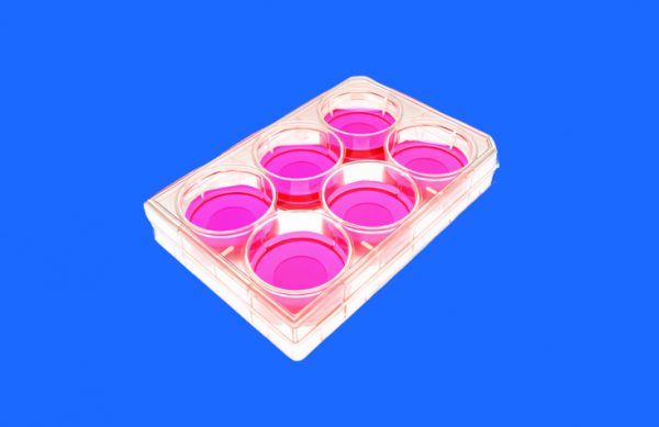 6 well Cell Culture Plates, Sterile , Non Pyrogenic, TC treatment, 50 Pcs