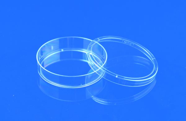 100 x 20 mm, Sterile. High clarity, Polystyrene flat transparent surface for distortion-free observation, 300 Pcs/ Case