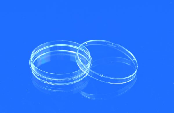 100 x 20 mm, Sterile. High clarity, Polystyrene flat transparent surface for distortion-free observation, 300 Pcs/ Case - Image 2